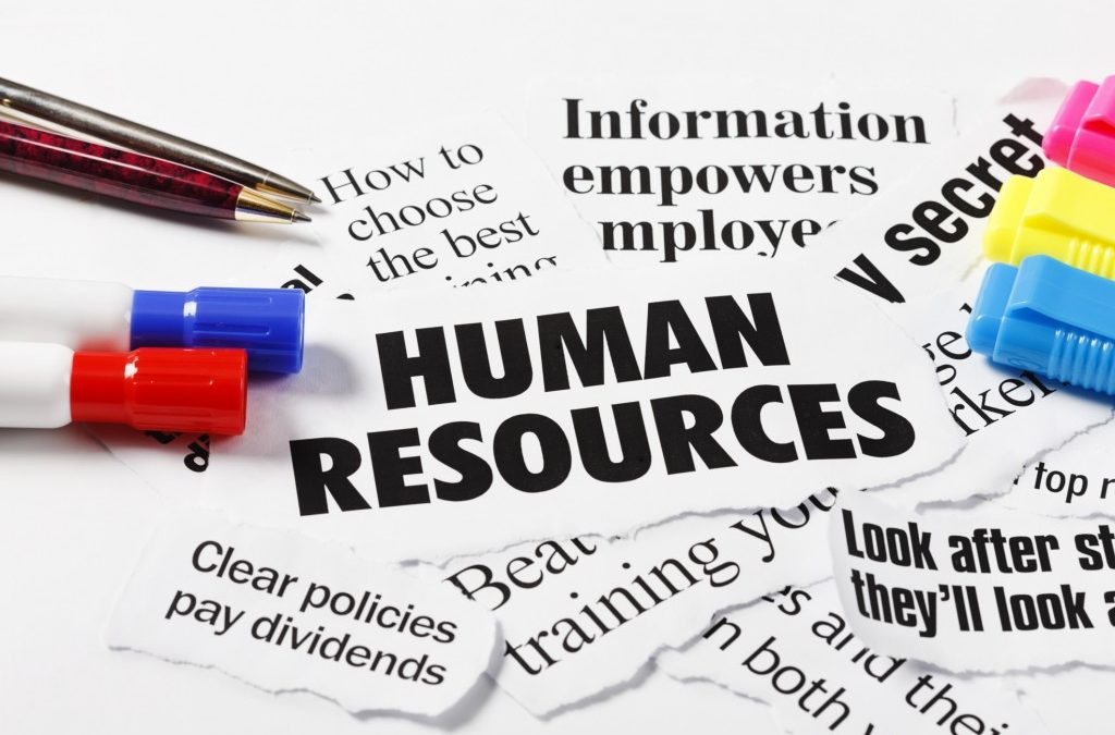 Importanza delle risorse umane in azienda